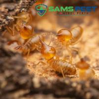 Sams Termite Control Perth image 4